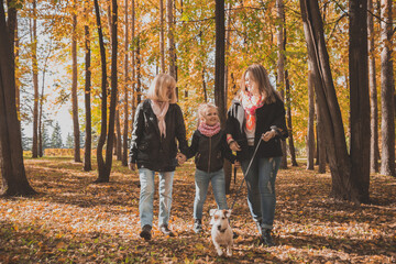 Naklejka na ściany i meble Grandmother and mother with granddaughter walks together in autumn park and having fun. Generation, leisure and family concept.