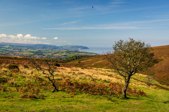 views west of the Somerset coast and Minehead from the top of the Quantocks Hills in south west England UK