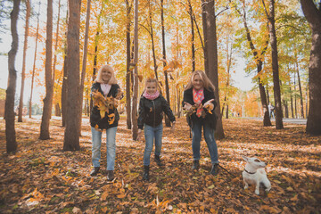 Fototapeta premium Grandmother and mother with granddaughter throw up fall leaves in autumn park and having fun. Generation, leisure and family concept.