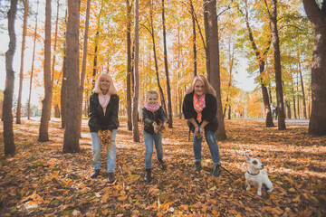 Fototapeta premium Grandmother and mother with granddaughter throw up fall leaves in autumn park and having fun. Generation, leisure and family concept.