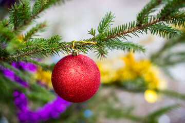 Naklejka na ściany i meble Red glitter Christmas Ball hanging on a evergreen tree