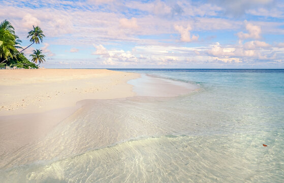 Tropical sandy beach with palm trees, Fihalhohi island, Maldives