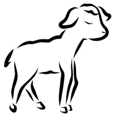 little modest cute lamb with closed eyes