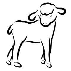 little modest cute lamb with closed eyes