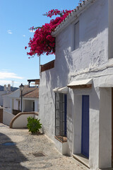 Village of Frigiliana, typical streets of the Axarquia in Malaga. Spain