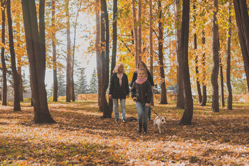 Fototapeta premium Grandmother and mother with granddaughter walks together in autumn park and having fun. Generation, leisure and family concept.