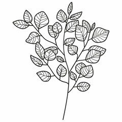 Botanical branch leaves hand drawn sketch doodle. Decorative floral plant black and white contour linear art. Elegant outline minimal foliage decor element. Natural organic botany herb vector.
