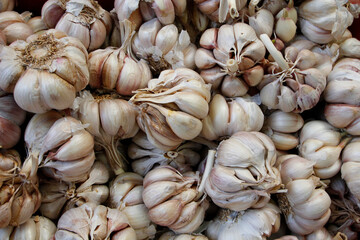 Garlic cloves for sale in French Market.Garlic is rumoured to cure colds, reduce high blood pressure, lower cholesterol and more