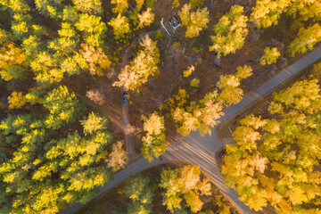 Aerial view of the trees in the forest. A road through the forest, a parked car. Top view. Beautiful natural background. Autumn forest. Season concept