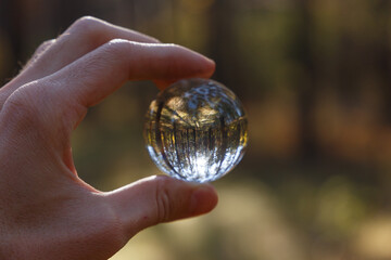 The hand holds a crystal ball in the forest. Selective soft focus. Reflection of the forest. Environment concept. Concept and theme of nature, environmental protection. Glass material. Copy space