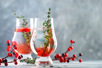 Cranberry, vodka and gin alcoholic cocktail with ice and thyme in special glass. Winter aperitif...