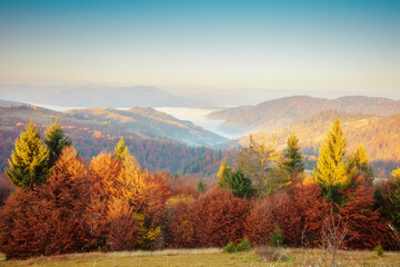 Mountain landscape in the early misty autumn morning. Carpathian mountains. Ukraine