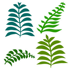 Fern leaf. Element of nature and the forest. Green bracken plant. Set of Flat cartoon illustration isolated on white