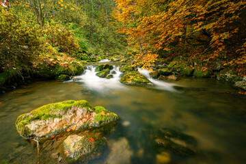 Bicaz river in Romania at the beginning of Bicaz Gorges flowing through the forest