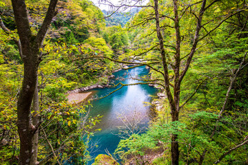 秋田県　抱返り渓谷の風景　