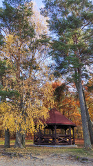 house in the woods © dorota
