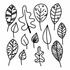 Vector hand drawn set of autumn leaves isolated on white background icon. Funny doodle fall leaves for seasonal design, textile, decoration for greeting card. Doodle coloring page for adult and kids.