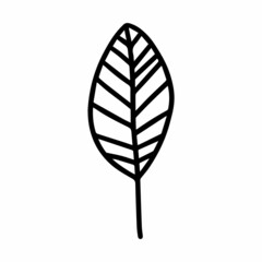 Vector hand drawn autumn leaf isolated on white background icon. Cute doodle fall leaf for seasonal design, textile, decoration for greeting card. Doodle coloring page for adult and kids. Ink line art