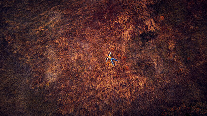 Aerial drone view of a man lying in autumn colored grass.