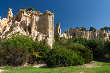 Limestone geological organ shape formation
