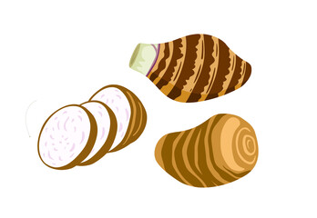 Taro root. Whole, half and slices. Tubers of dasheen plant, colocasia esculenta, satoimo. Chinese and japanese vegetable. Asian cuisine ingredient. Healthy vegetarian food. Flat vector illustration.