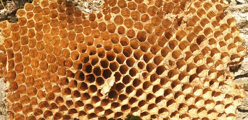 Close-up of the honeycomb texture.