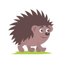 Little cheerful hedgehog. Forest animal. Vector isolated cartoon illustration