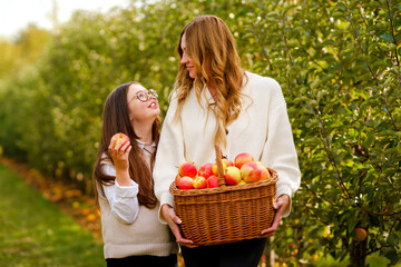 Happy school girl and beautiful mother with red apples in organic orchard. Happy woman and kid daughter picking ripe fruits from trees and having fun in garden. Harvest season for family.