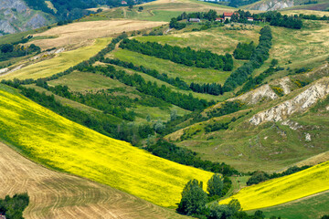 Rural landscape on the hills near Imola and Riolo Terme