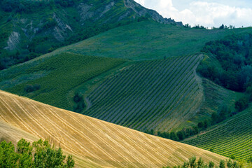Rural landscape on the hills near  Riolo Terme and Brisighella