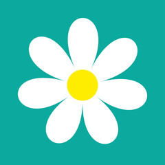 White chamomile daisy flower round icon. Camomile petal. Cute plant collection. Love card. Growing concept. Happy Valentines Day decoration. Flat design. Dark blue background. Isolated.