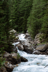 Fototapeta premium waterfall in the forest