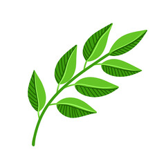 Green Leaf vector element. Eco desing for floral organic label. Isolated desing