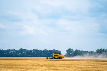 Fototapeta premium Large view on green combine. Special technic in the field working during the summer day. Modern machinery in gold wheat concept