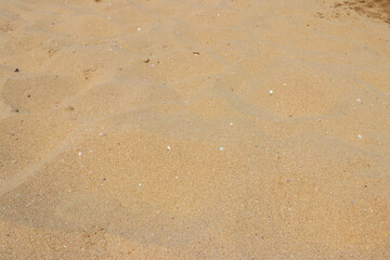 Yellow sand texture for background