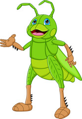 cartoon cute grasshopper isolated on white background