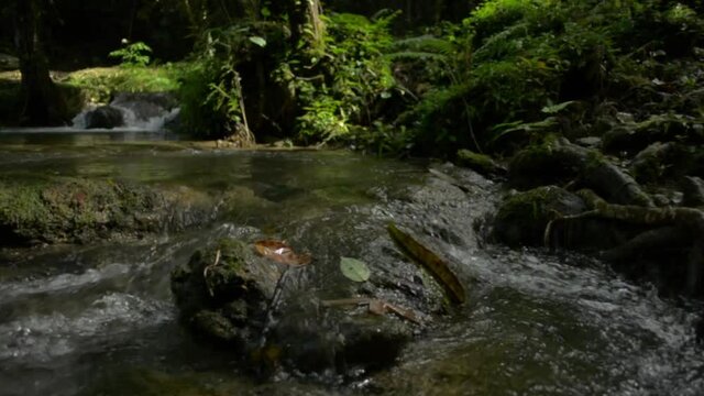 Close up water stream flowing over the mossy rocks through greenery plants under the shade of the trees in tropical forest. Beauty in nature. Freshness creek in the jungle. Thailand.