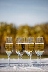 beautiful champagne glasses on the coast