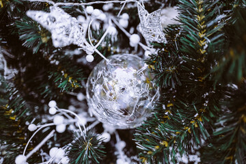 Festive Christmas tree decorated with Christmas toy silver ball. Winter holiday celebration. New Year concept. Christmas postcard