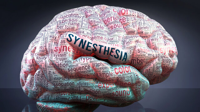 Synesthesia in human brain, hundreds of crucial terms related to Synesthesia projected onto a cortex to show broad extent of the condition and to explore concepts linked to it, 3d illustration