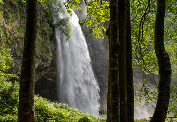 waterfall in woods