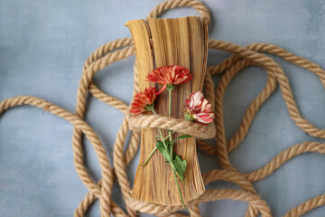 Book on a rope with bright colors