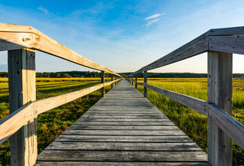 Obraz premium Boardwalk Over the Marsh Sandwich MA