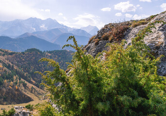 Mountain view on a clear autumn day. Mountains in Ingushetia. Landscape in the mountains in autumn. Rocks and trees in a mountainous area. A green shrub high in the mountains.