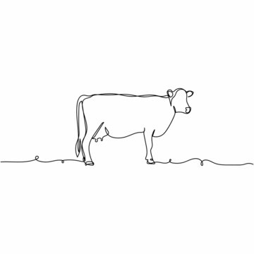 Vector continuous one single line drawing icon of cow farm concept in silhouette on a white background. Linear stylized.