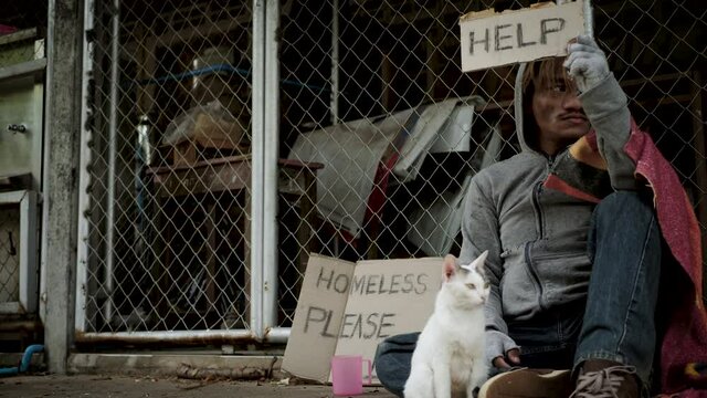 Homeless man with his cat, dirty clothes holding a HELP text made from cardboard box looking and require for accommodation. 4K	