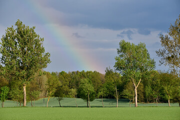 Obraz premium a slice of rainbow against the blue sky