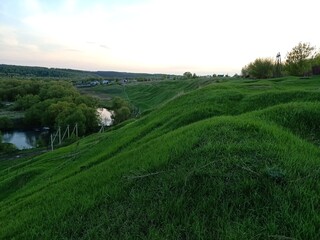 Obraz premium rice field