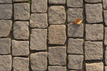 Texture of stone pavement and autumn yellow leaf