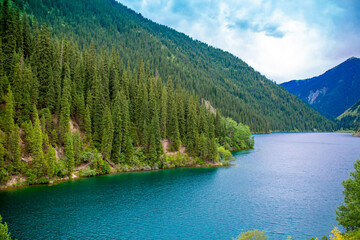 Lake Kaindy sunken forest in Kazakhstan. Beautiful mountain nature landscape. Blue lake Kolsai top view. Panoramic view of the nature reserve.